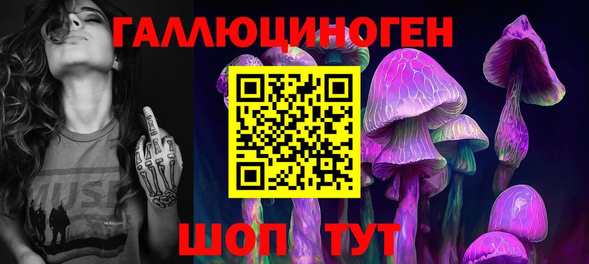 Прохладный  Псилоцибиновые грибы ЛСД  Галлюциногенные грибы Magic Shrooms  Вход с VPN 